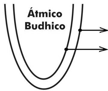 Budhico